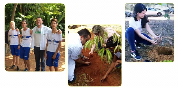 imagem neatabocas