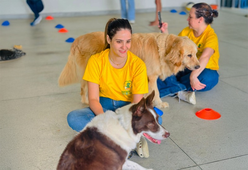 WhatsApp Image 2025 11 11 at 11.47.26